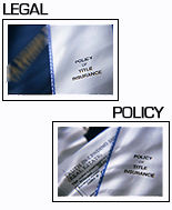 Drushti Info-Networks: The Top in Web Hosting